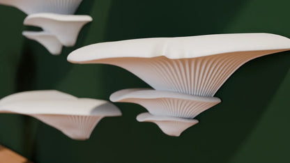 Mushroom Shelves easy installation von HC3D Produktbild