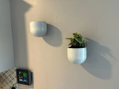 Wall Planter Pot With Mount – Hängeblumentopf Wandpflanzgefäß Wandtopf Pflanzbehälter für Wände Wandhalterung für Pflanzen by HC3D Produktbild